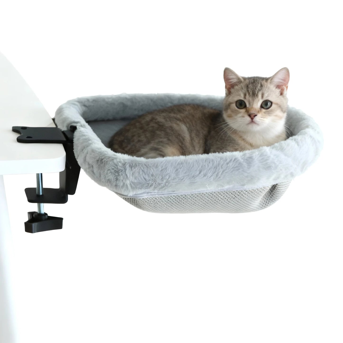 Cat Desk Bed One-Click Folding